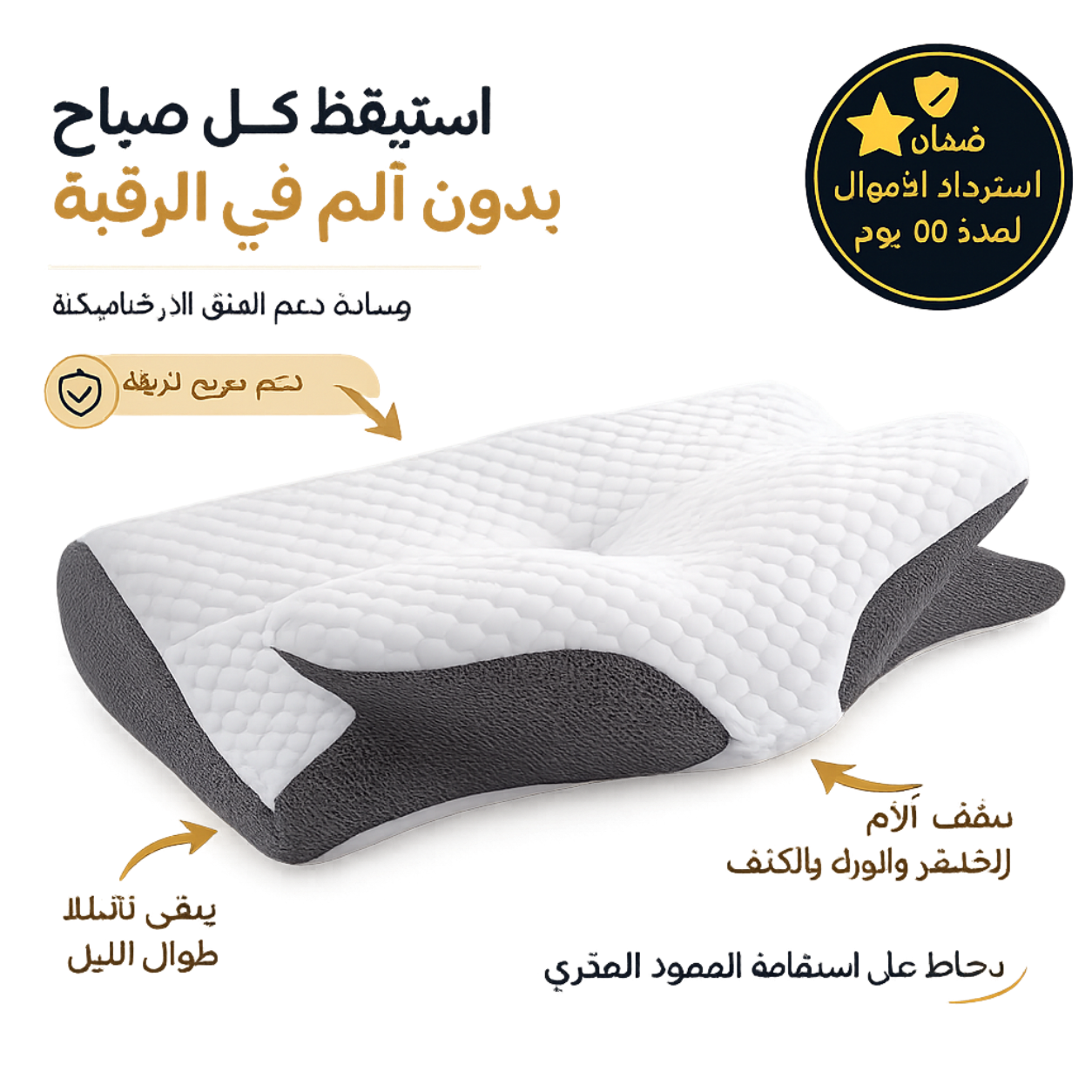 LifeTherapy Ergonomic Support Pillow